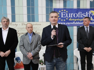 Aranyüst - fotó: Sándor Judit