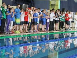 Aranyüst - fotó: Sándor Judit