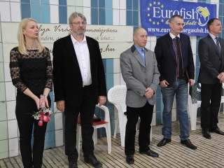 Aranyüst - fotó: Sándor Judit