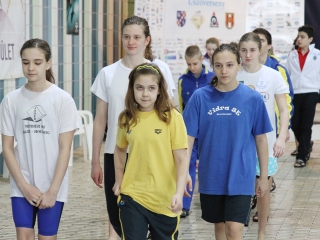 Aranyüst - fotó: Sándor Judit