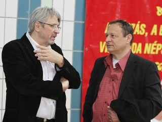 Aranyüst - fotó: Sándor Judit