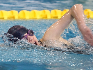 Aranyüst - fotó: Sándor Judit