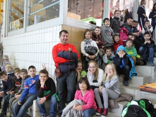 Aranyüst - fotó: Sándor Judit