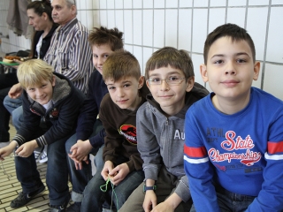 Aranyüst - fotó: Sándor Judit