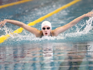 Aranyüst - fotó: Sándor Judit