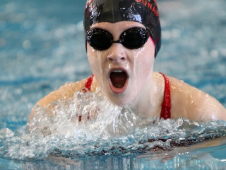 Aranyüst - fotó: Sándor Judit