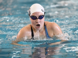 Aranyüst - fotó: Sándor Judit