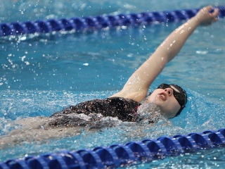 Aranyüst - fotó: Sándor Judit