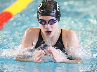 Aranyüst - fotó: Sándor Judit