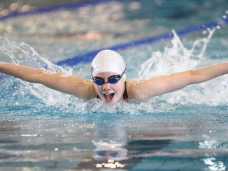 Aranyüst - fotó: Sándor Judit