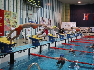 Aranyüst - fotó: Sándor Judit