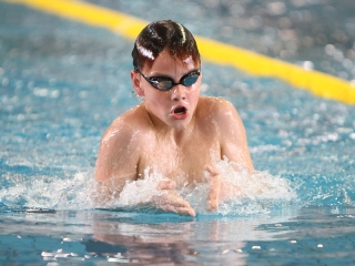 Aranyüst - fotó: Sándor Judit