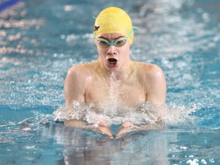 Aranyüst - fotó: Sándor Judit