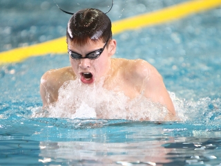 Aranyüst - fotó: Sándor Judit