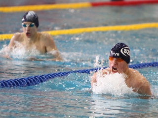 Aranyüst - fotó: Sándor Judit