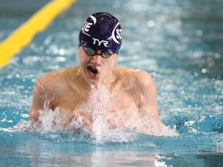 Aranyüst - fotó: Sándor Judit