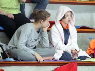 Aranyüst - fotó: Sándor Judit