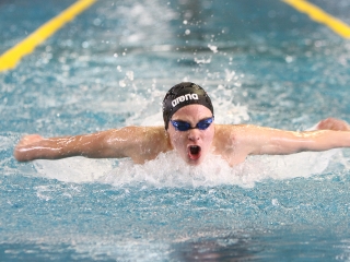 Aranyüst - fotó: Sándor Judit