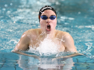 Aranyüst - fotó: Sándor Judit