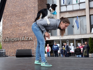 Ragyogj Kékben! - fotó: Sándor Judit