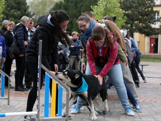 Ragyogj Kékben! - fotó: Sándor Judit