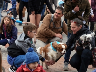 Ragyogj Kékben! - fotó: Sándor Judit