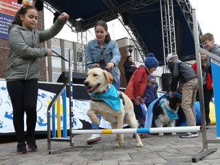 Ragyogj Kékben! - fotó: Sándor Judit