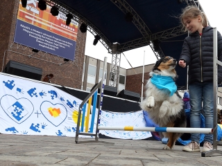 Ragyogj Kékben! - fotó: Sándor Judit