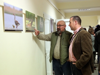 Természetfotók tárlata az MMK-ban - fotó: Sándor Judit