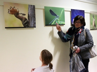 Természetfotók tárlata az MMK-ban - fotó: Sándor Judit