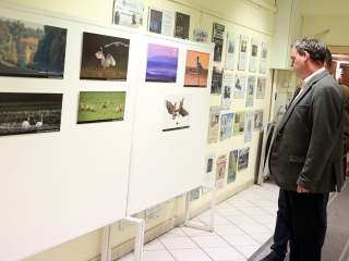 Természetfotók tárlata az MMK-ban - fotó: Sándor Judit