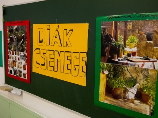 Szakmák Éjszakája 2019 - fotó: Ónodi Zoltán