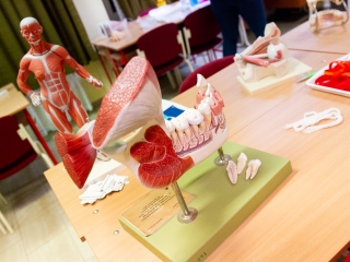 Szakmák Éjszakája 2019 - fotó: Ónodi Zoltán