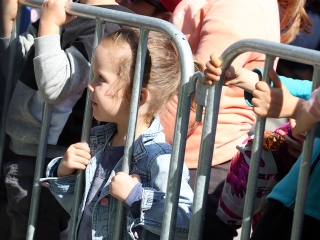 Májusi Mulatság 2019 - fotó: Sándor Judit