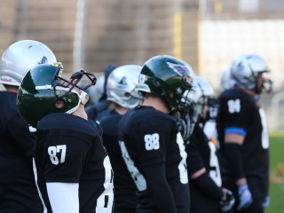 Gorillaz - Tata Mustang - fotó: Ónodi Zoltán