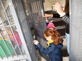 Rendvédelmi nap 2019 - fotó: Ónodi Zoltán