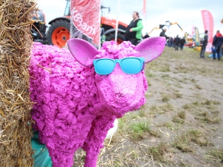 Orbán Viktor Mezőfalván - fotó: Sándor Judit