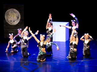 Wesley Gála a Bartókban - fotó: Ónodi Zoltán