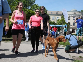 Fuss velünk, fuss értünk! 2019 - fotó: Sándor Judit