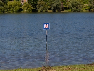Mozdulj meg! - 2019 - fotó: Ónodi Zoltán