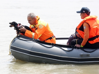Speciális bevetésen a keresőkutyák  - fotó: Sándor Judit