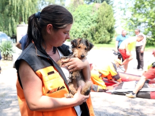 Speciális bevetésen a keresőkutyák  - fotó: Sándor Judit