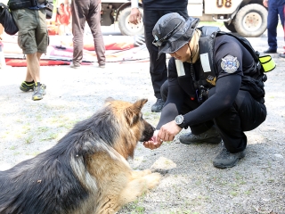 Speciális bevetésen a keresőkutyák  - fotó: Sándor Judit