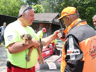 Speciális bevetésen a keresőkutyák  - fotó: Sándor Judit