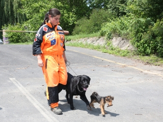 Speciális bevetésen a keresőkutyák  - fotó: Sándor Judit