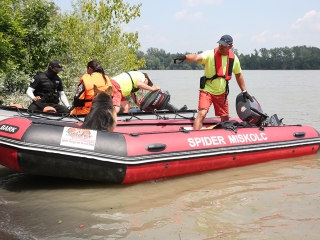 Speciális bevetésen a keresőkutyák  - fotó: Sándor Judit