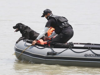 Speciális bevetésen a keresőkutyák  - fotó: Sándor Judit