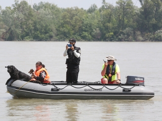 Speciális bevetésen a keresőkutyák  - fotó: Sándor Judit