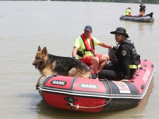 Speciális bevetésen a keresőkutyák  - fotó: Sándor Judit
