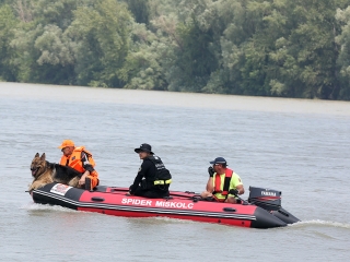 Speciális bevetésen a keresőkutyák  - fotó: Sándor Judit